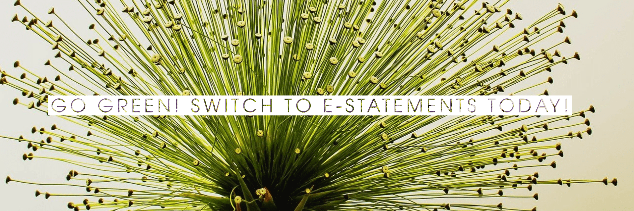 Electronic Statement Banner