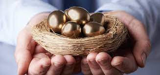 nest egg